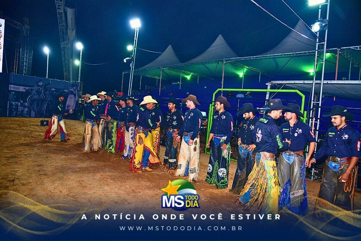 Imagem da Galeria